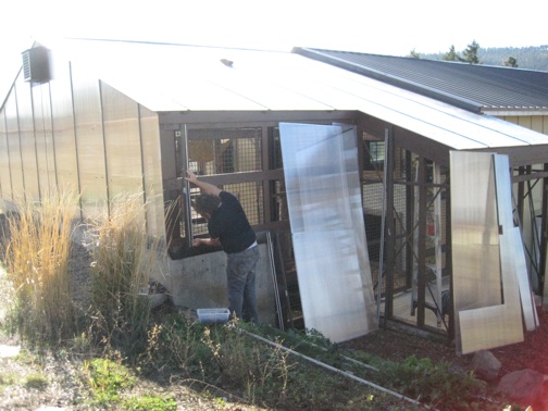 web greenhouse jonathan IMG_7269