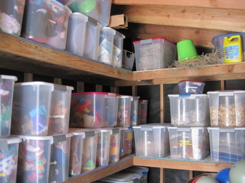 web bins in shed IMG_7642 bins in shed