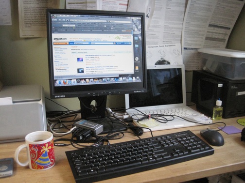 web chimp house computer IMG_7637 chimp house office