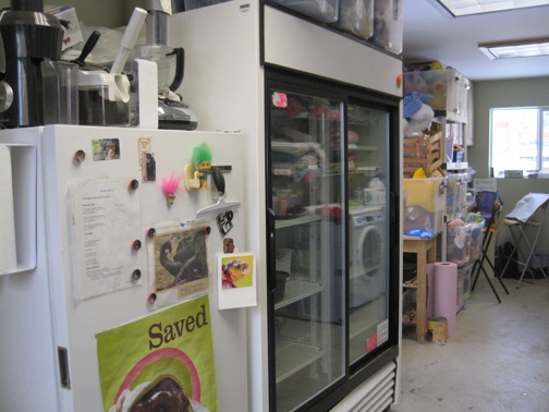 web fridge enrichment and office IMG_7631 freezer and fridge