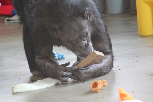 Jody with raisin board