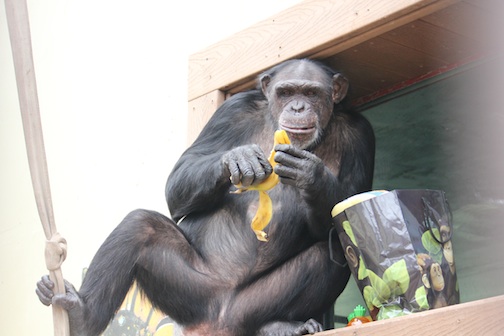 Jamie with an Easter banana and bag