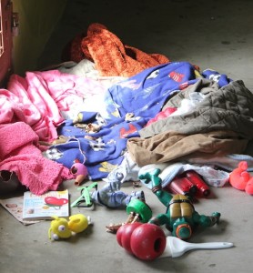 toyful nest