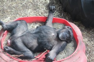 jody in sandbox