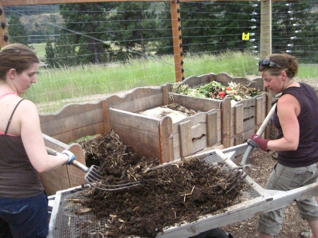 web debbie jackie sift compost IMG_8392