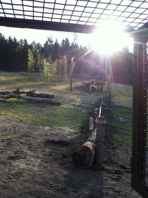 log bridge