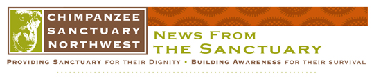 sanctuary_e-news header