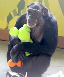 Jamie hug stuffed animal