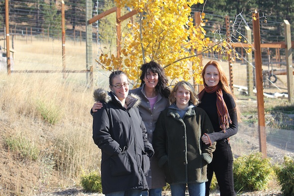 web Sarah Noelle Diana Elizabeth Kucinich