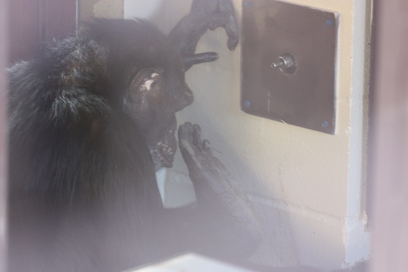 web Jamie wipe muddy feet on wall bath use water spigot front rooms IMG_2458