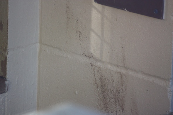web muddy wall front rooms IMG_2460