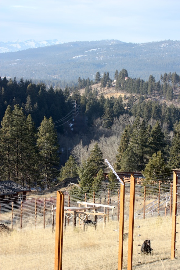 Mountains above Jody on Young's Hill