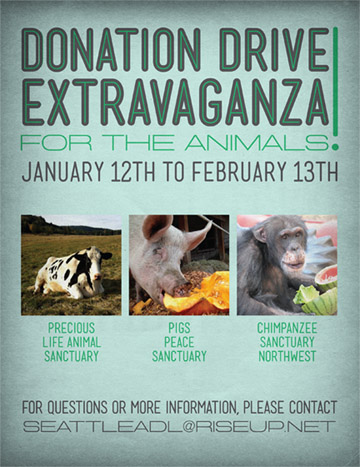 donation drive extravaganza flyer