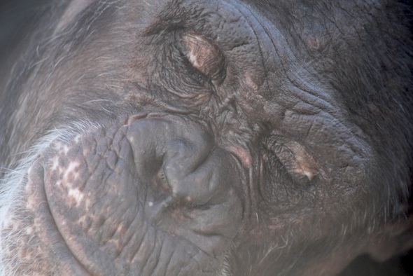 close up of Jamie with eyes closed