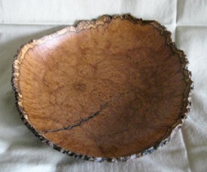 Brown Mallee