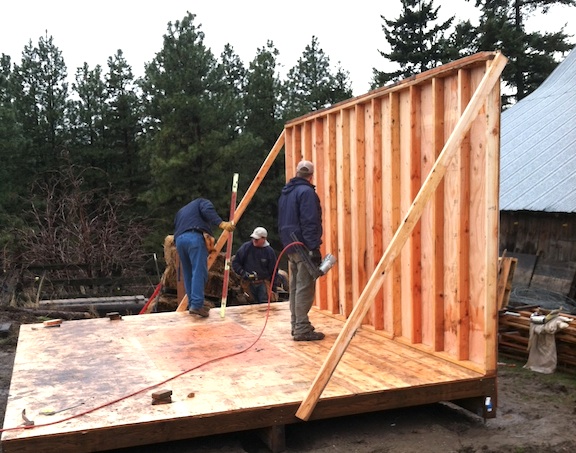 web diana shed first wall doug jim jb building shed first wall