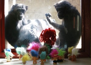 Foxie and Annie in window, troll dolls on bench