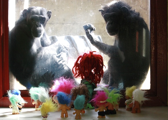 Foxie and Annie in window, troll dolls on bench