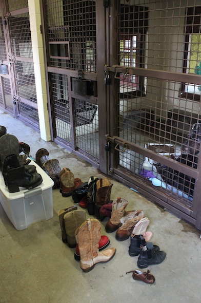 boots on display