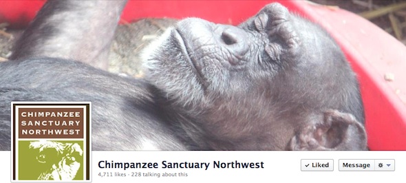 facebook page screenshot Jody sleeping