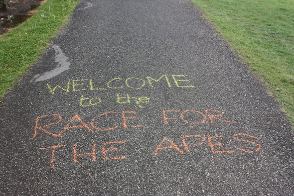 web race welcome chalk on pavement IMG_3872 chalk welcome
