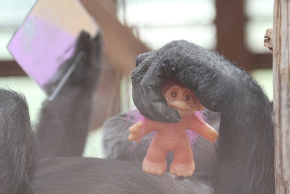 Foxie hold mirror and troll doll