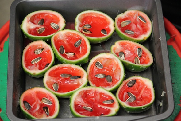 web frozen limes filled with red gatorade and sunflower seeds IMG_4865