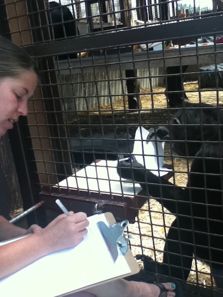 web Jamie caregiver Jackie meeting pen write draw GH
