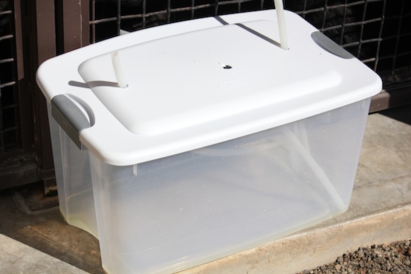 enrichment tub with holes