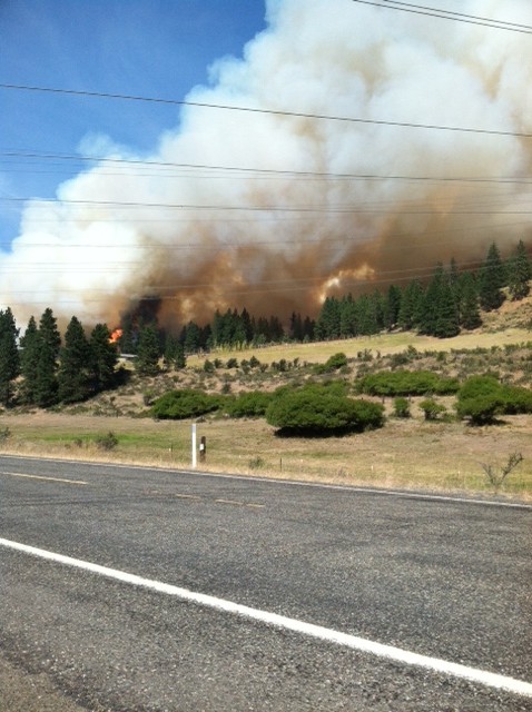 web fire on the hill chimp house in foreground photo from highway 10 fire on hil above chimp house from highway
