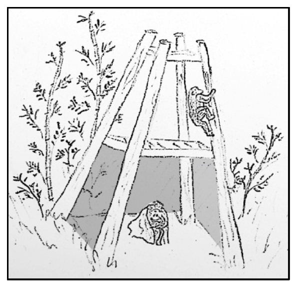 cabin image