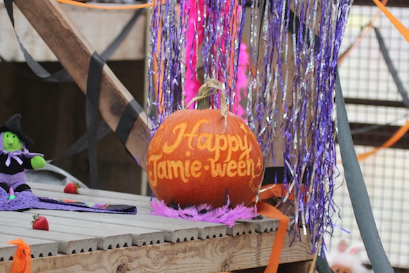 web Decorations pumpkin halloween birthday party gh IMG_9293