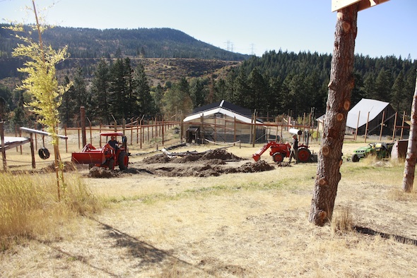 Construction on Negra's cabin