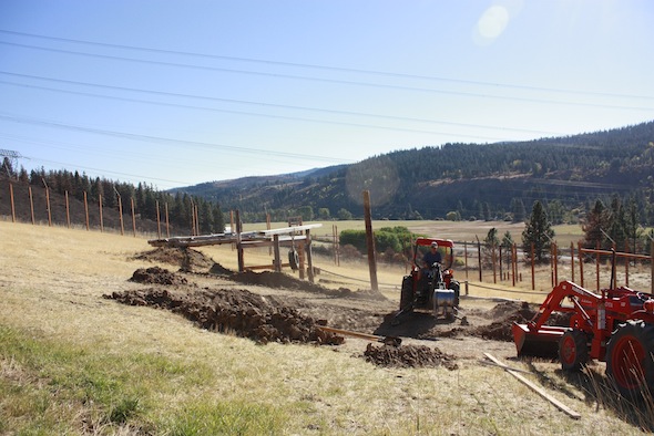 Construction on Negra's cabin