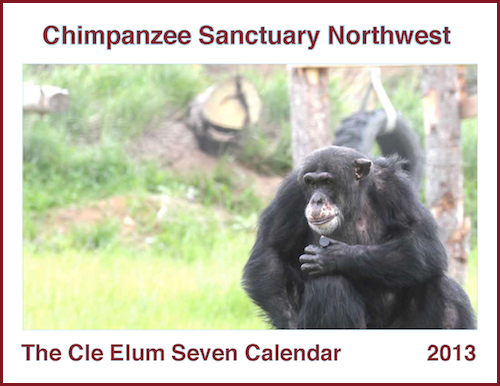 2013 calendar cover