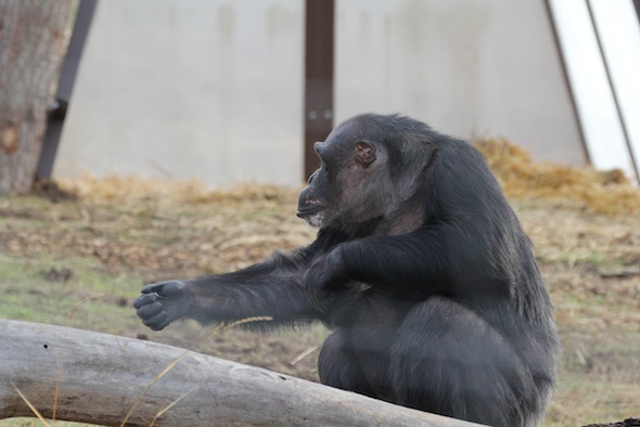 Negra seeking reassurance