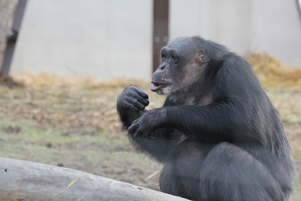 Negra seeking reassurance