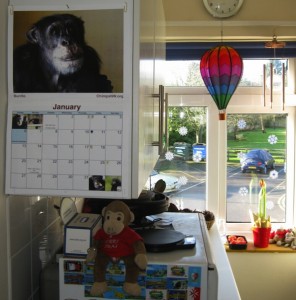 Edwards' CSNW 2013 calendar