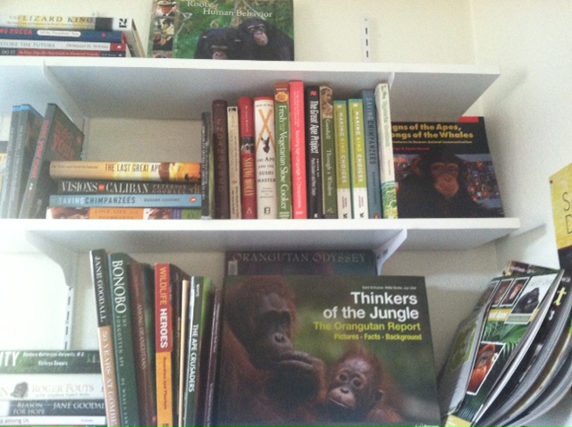 marcia lending library at csnw