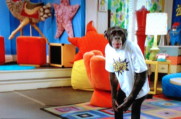 older chimp raising hope