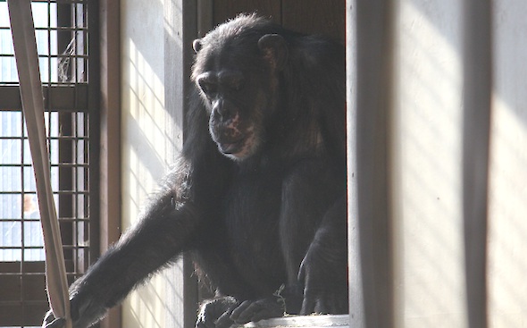 missy sit window sill