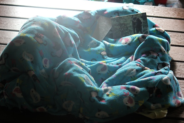 pre-made nest