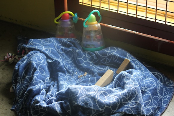 pre-made nest