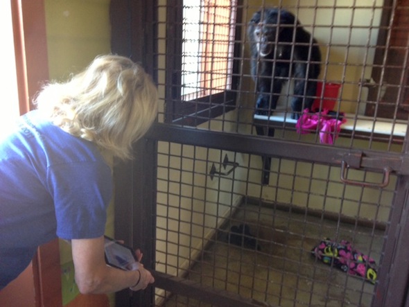 web caregiver deb show jamie new ipad