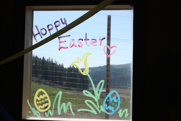 web hoppy easter IMG_1685