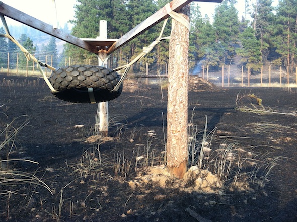 web-black-earth-fire-youngs-hill-tire-IMG_0725