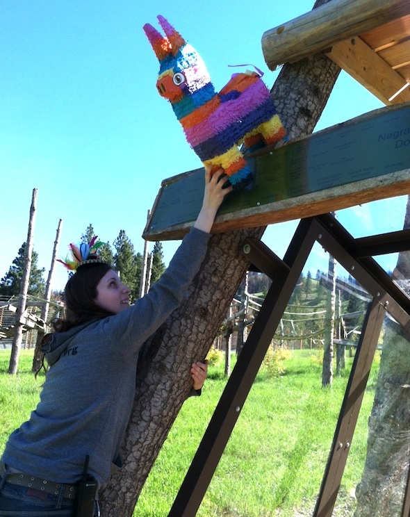 web Debbie caregiver fancy headband pinata Negra's cabin cinco de mayo party Young's Hill YH IMG_6510