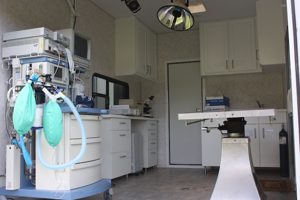 Clinic anesthesia machine