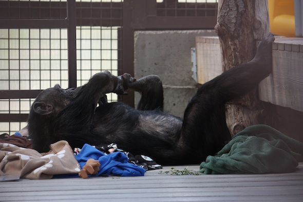 web Jody_full-body_self-groom_ yoga-pose_GH_LS_IMG_2498