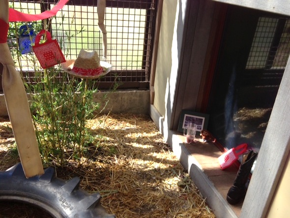 fb_hoedown_party_setup_dm1
